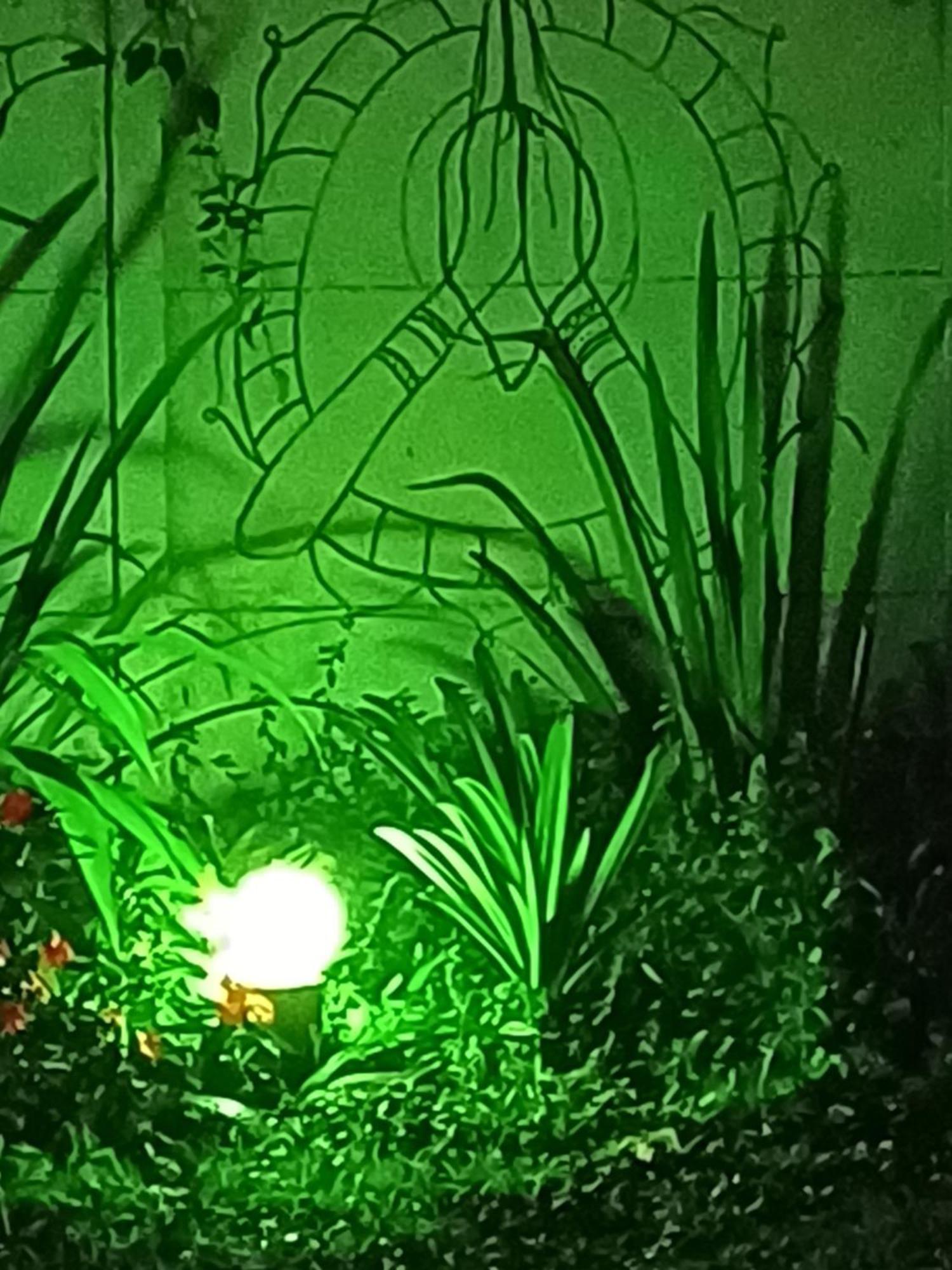 Hospedagem Namaste Visconde De Maua Kültér fotó